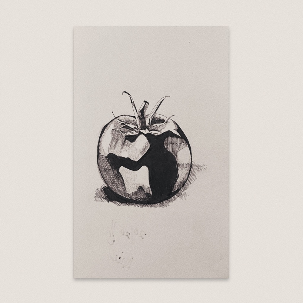 original black ink pen traditional artwork tomato still life illustration draw﻿